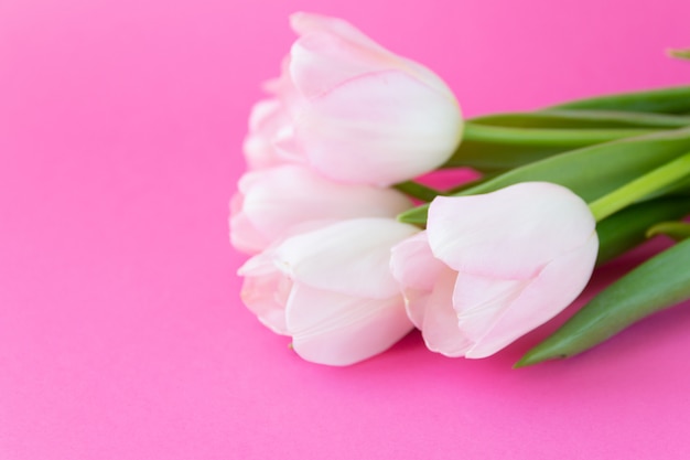 Boeket tulpen op roze achtergrond