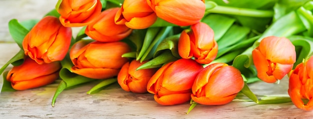 Foto boeket tulpenbloemen op grijze achtergrond panorama platte laycopy spacepanorama