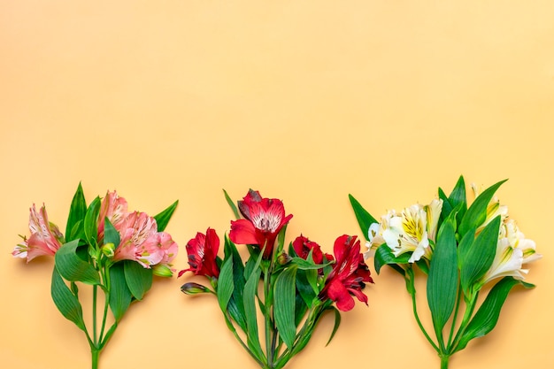 Boeket van alstroemeria bloemen geïsoleerd op beige