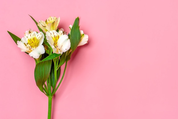 Boeket van alstroemeria bloemen geïsoleerd op roze. Bovenaanzicht