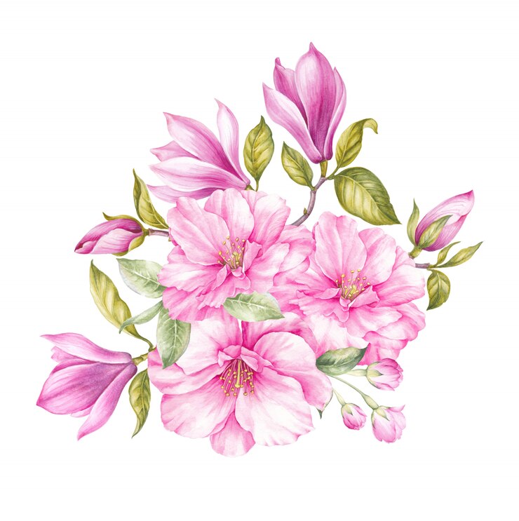 Foto boeket van bloeiende sakura bloemen.