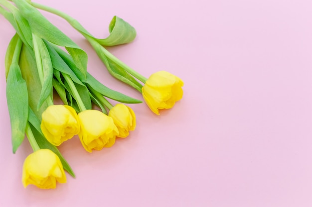 Boeket van gele de Lentetulpen op roze achtergrond Hoogste horizontale mening copyspace