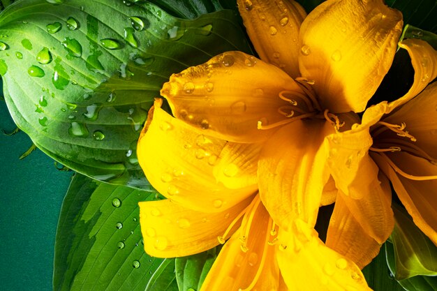 Boeket van gele lelies met een druppel water na regen zomerbloemen natuurlijke natuurlijke achtergrond