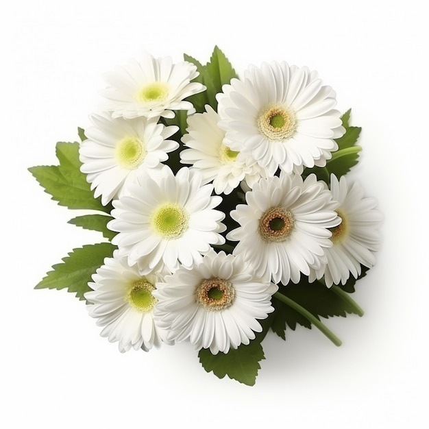 Boeket van Gerbera madeliefjes bloem plant met blad op witte achtergrond