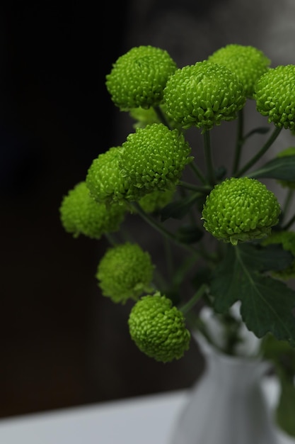 Boeket van groene chrysanten op een zwarte achtergrond