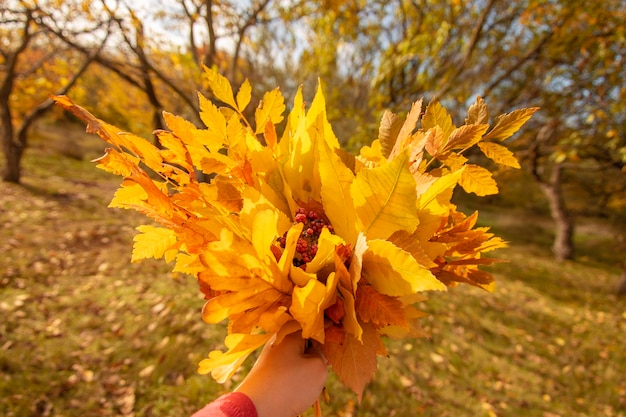 Boeket van herfstbladeren in de hand close-up.