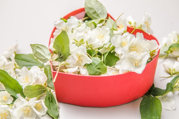 Boeket van jasmijn in geschenkdoos. Valentijnsdag. Bovenaanzicht met kopie ruimte voor een tekst. Bloemen Gefeliciteerd Decoratief Frame.