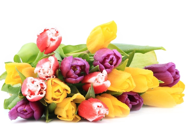 Boeket van kleurrijke tulpen in de lente geïsoleerd op een witte achtergrond