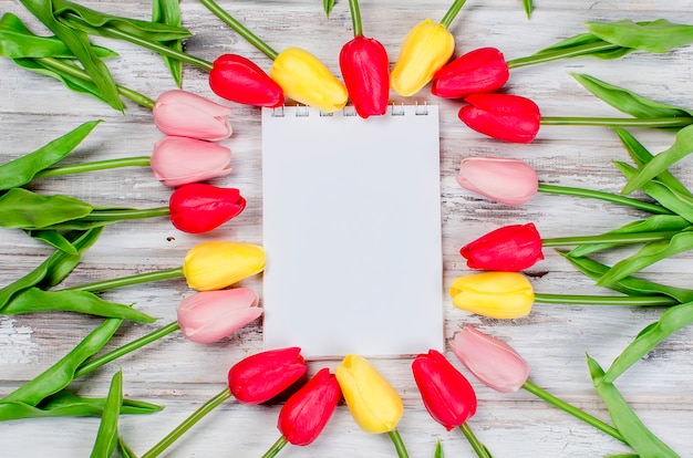 Boeket van lente kleurrijke tulpen en cadeau