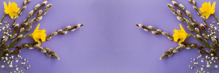 Foto boeket van lentebloemen op de paarse achtergrond. banier. bovenaanzicht. ruimte kopiëren. lente achtergrond.