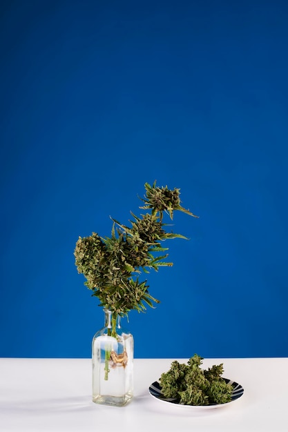 Boeket van marihuana in pottenvaas met toppen van onkruid op blauwe achtergrond