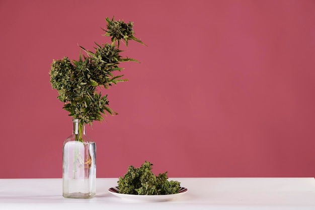 Boeket van marihuana in pottenvaas met toppen van onkruid op roze achtergrond