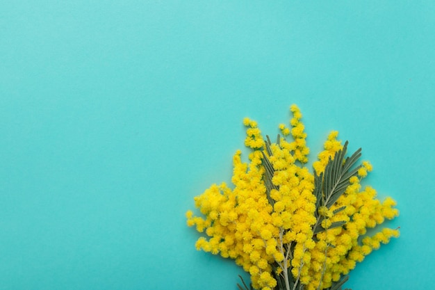 Boeket van mimosa bloemen op een blauwe achtergrond ruimte voor tekst Briefkaart voor Vrouwendag 8 maart