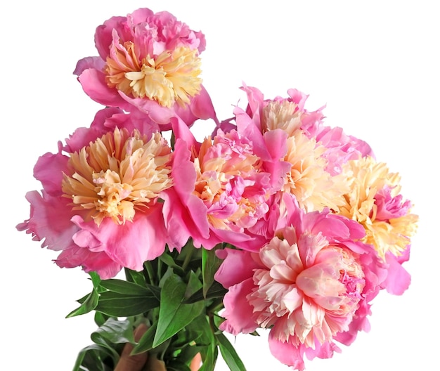 Boeket van mooie peony bloemen op lichte achtergrond close-up