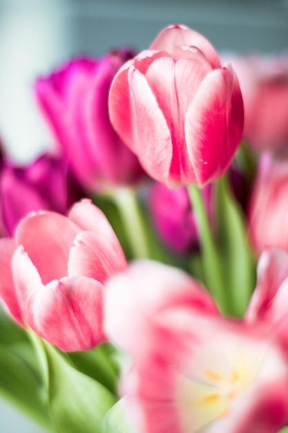 Boeket van mooie tulpen bloemenachtergrond