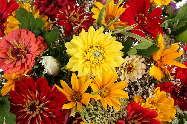 Foto boeket van mooie zomerbloemen close-up