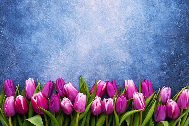 Boeket van paarse tulpen op een blauwe muur. Plat leggen, ruimte voor tekst kopiëren