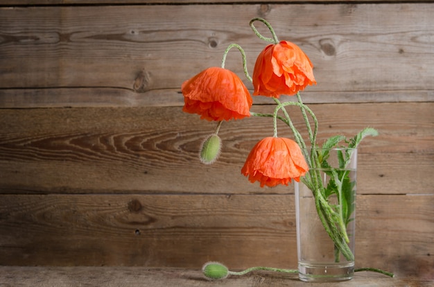 Boeket van papavers in glasvaas die op houten lijst wordt geïsoleerd