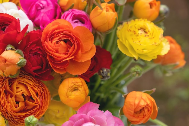 Boeket van perzische boterbloemen bloemen ranunculus asiaticus achtergrond