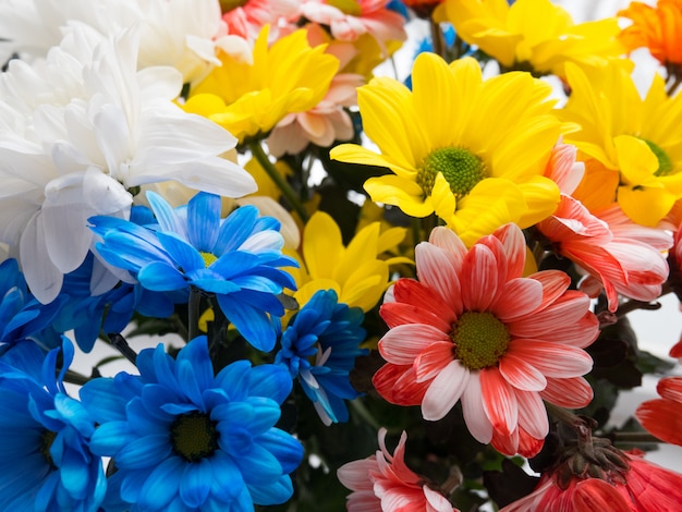 Boeket van prachtige veelkleurige chrysanten in een vaas.