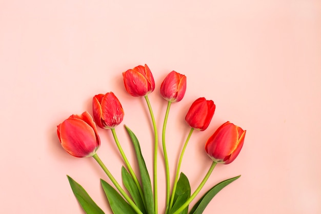 Boeket van rode de lentetulpen op roze achtergrond. lente bloemen. pasen, valentijnsdag, 8 maart, gelukkige verjaardag, vakantieconcept. kopieer ruimte