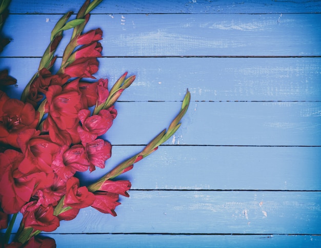 Boeket van rode gladiolen op een blauwe houten achtergrond