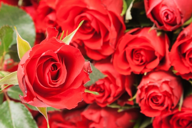 Boeket van rode rozen voor romantische cadeau achtergrond