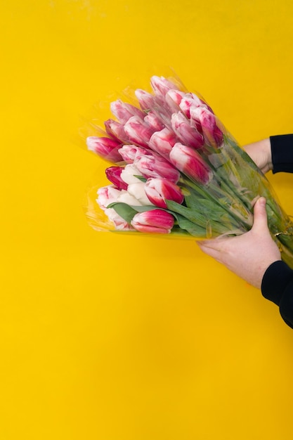 Boeket van rode tulpen in de hand op een gele achtergrond