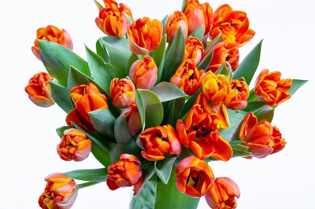 Boeket van roodgele tulpen op een witte achtergrond Close-up