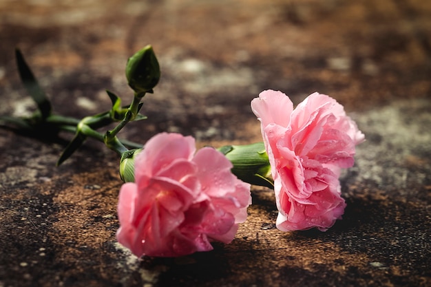 Boeket van roze anjersbloemen