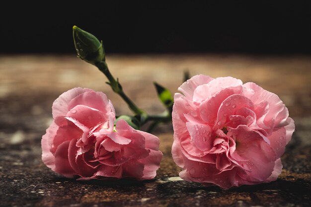 Boeket van roze anjersbloemen