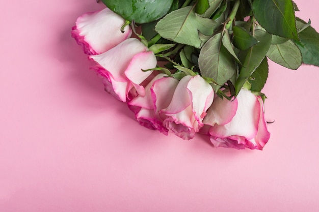 Boeket van roze bloeiende rozen op pastel roze