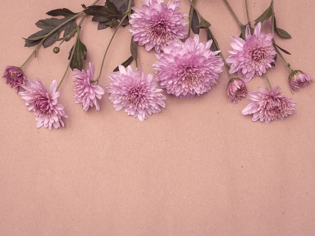 Boeket van roze chrysantenbloemen op een pastelkleurige achtergrond