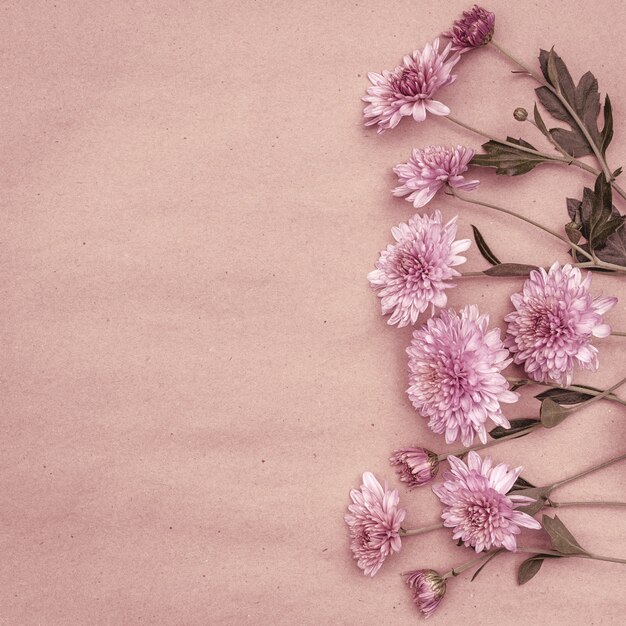 Boeket van roze chrysantenbloemen op een pastelkleurige achtergrond