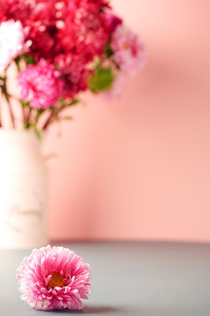 Boeket van roze en rode asters en een grote roze aster op een grijs-roze achtergrond, een plek voor tekst. Hoge kwaliteit foto