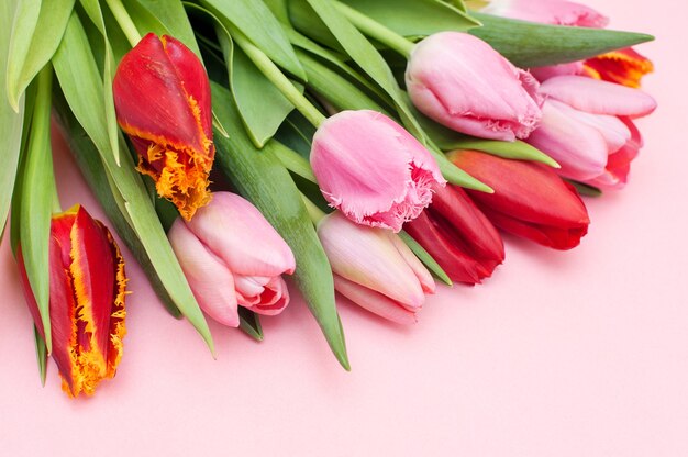 Boeket van roze en rode tulpen op een roze achtergrond. Bovenaanzicht