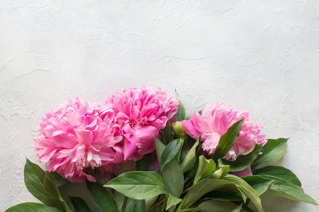 Boeket van roze pioen bloemen op grijs. Bovenaanzicht. Plat liggen.