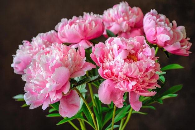 boeket van roze pioenen donkere achtergrond