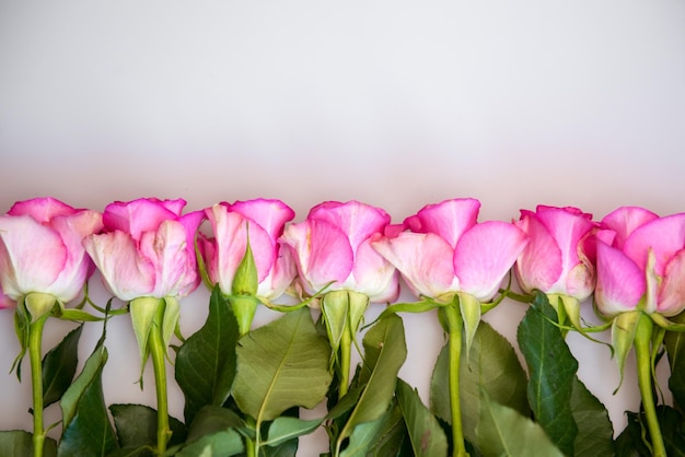 Boeket van roze rozen op witte achtergrond bloem achtergrond moeders dag bruiloft en verjaardag concept