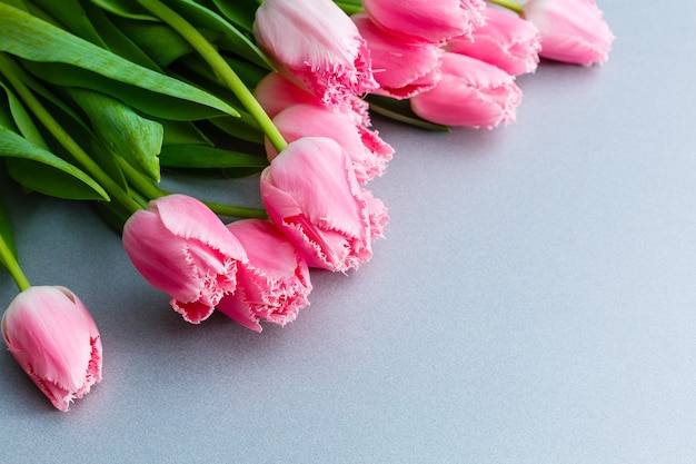 boeket van roze tulp bloemen op grijze achtergrond plat lag.