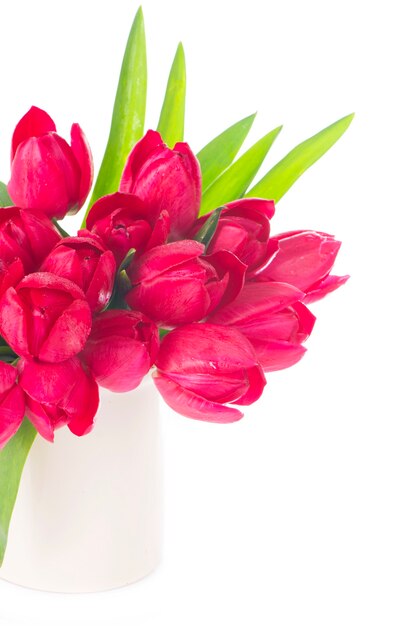 Boeket van roze tulpen geïsoleerd op wit