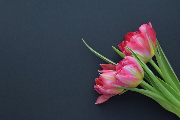 Boeket van roze tulpen met groene bladeren op een donkere ondergrond