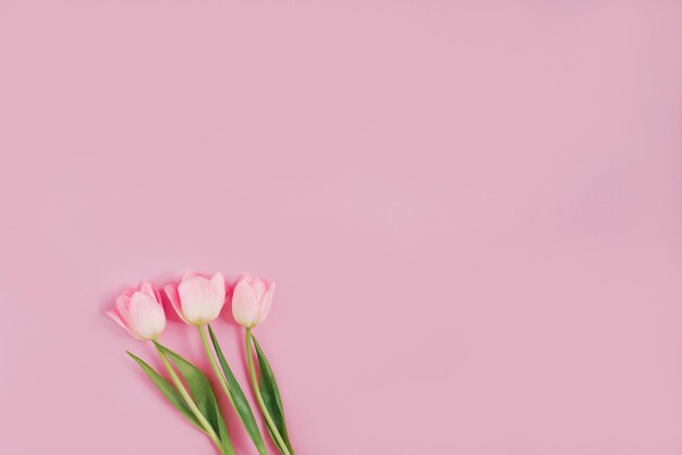 Boeket van roze tulpen op een pastel roze achtergrond Vakantie cadeau wenskaart voor Pasen Verjaardag