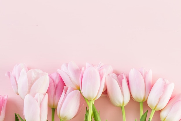 Boeket van roze tulpen op een roze achtergrond.