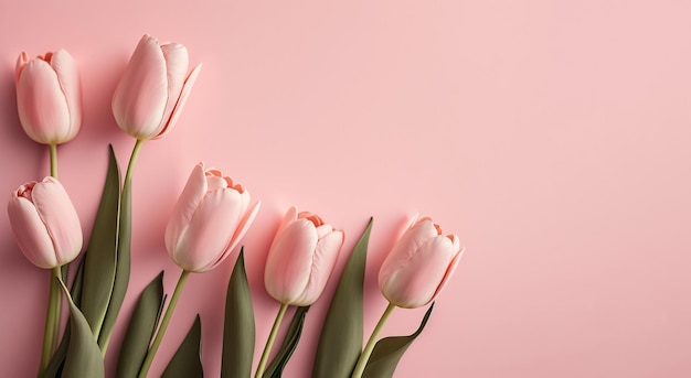 Boeket van roze tulpen op roze achtergrond Moederdag Valentijnsdag Verjaardag viering concept Wenskaart Kopieer ruimte voor tekst bovenaanzicht