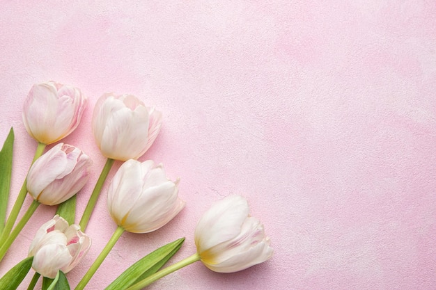 Boeket van roze tulpen op roze achtergrond