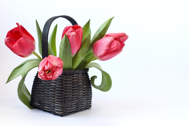 Boeket van scharlaken tulpen in een rieten mand op een witte achtergrond zijaanzicht ruimte voor tekst