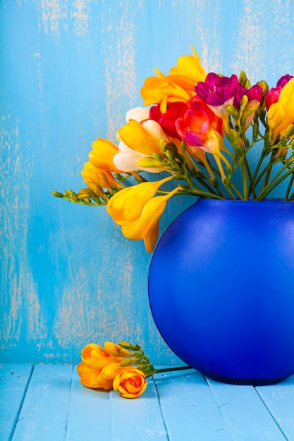 Foto boeket van veelkleurige fresia's in een vaas op een blauwe achtergrond. mooie bloemen.