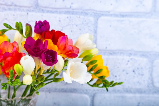 Foto boeket van veelkleurige fresia's op een bakstenen muurachtergrond. mooie bloemen.