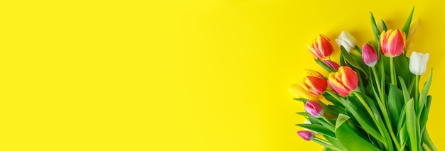 Boeket van veelkleurige tulpen op gele achtergrond Lente symbool Vakantie cadeau Plaats voor uw tekst